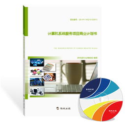計算機系統(tǒng)服務項目商業(yè)計劃書